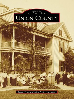 cover image of Union County